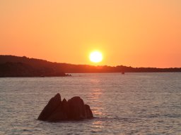 IMG_0010
