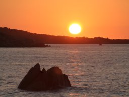 IMG_0011