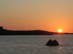 IMG_0012