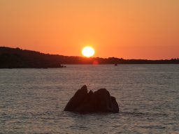 IMG_0015