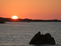 IMG_0020