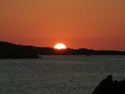 IMG_0021