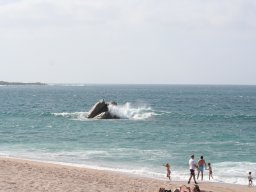 IMG_0035