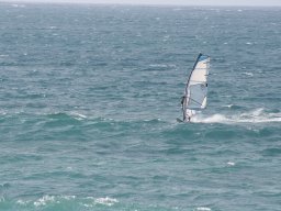 IMG_0037