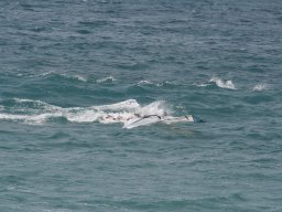 IMG_0039