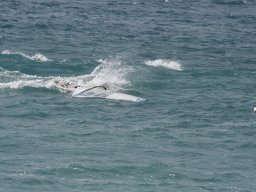 IMG_0040
