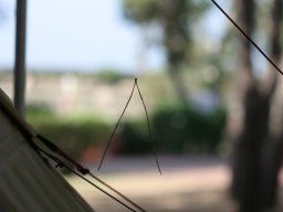 IMG_0073