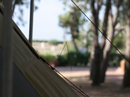 IMG_0074
