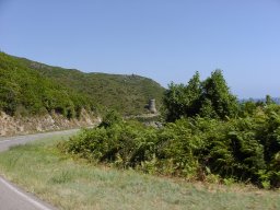 P1010013