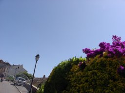 P1010018