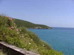 P1010019