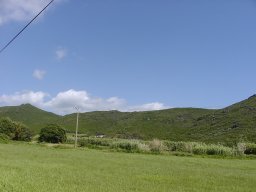 P1010020