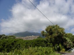 P1010021