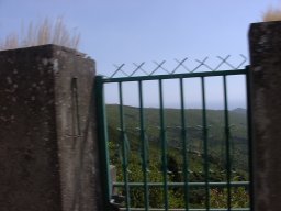 P1010024