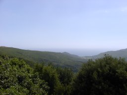 P1010025