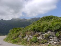 P1010030