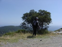P1010031