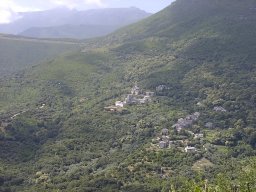 P1010035