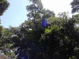 P1010036