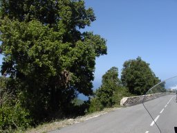 P1010038