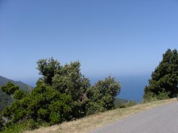 P1010041