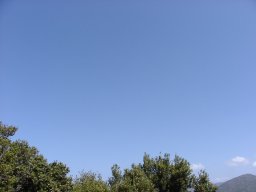 P1010045