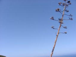 P1010046