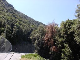 P1010067