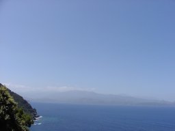 P1010083