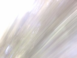 P1010088