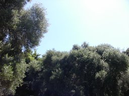 P1010089