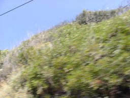 P1010091