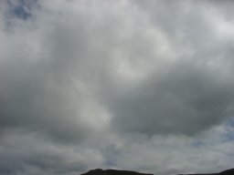 P1010107