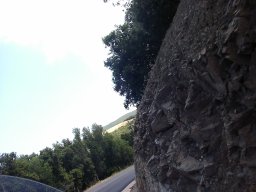 P1010111
