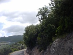 P1010113