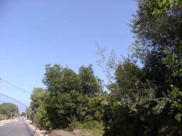 P1010117