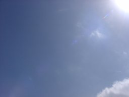 P1010122