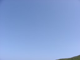P1010123