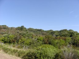 P1010124