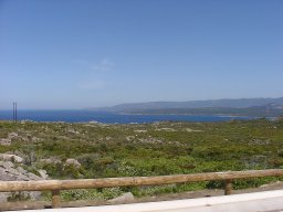 P1010126