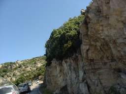 P1010132