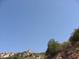 P1010133