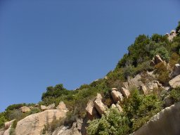 P1010134