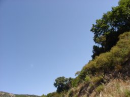 P1010135