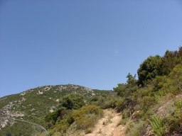 P1010136