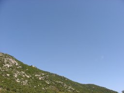 P1010138
