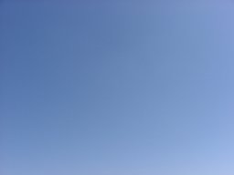 P1010140