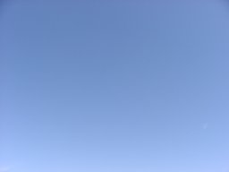 P1010142