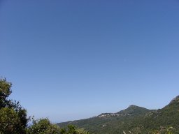 P1010146
