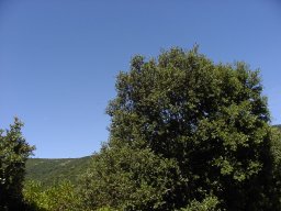 P1010150